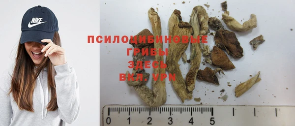 2c-b Абинск