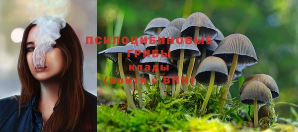 молекула духа Абдулино