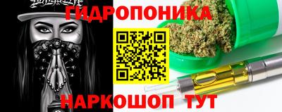 шишки Нарткала