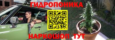 шишки Нарткала