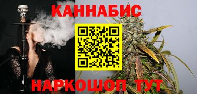 шишки Нарткала