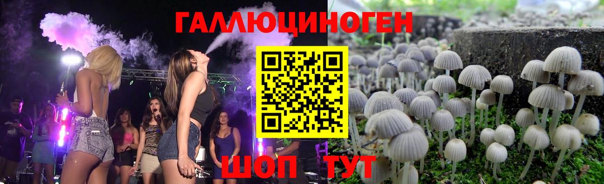 Фурманов  Галлюциногенные грибы мухоморы  Вход с VPN 